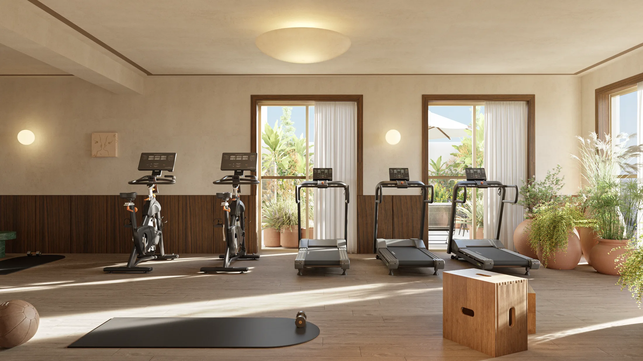 Gimnasio de Louisa con bicicletas y caminadoras